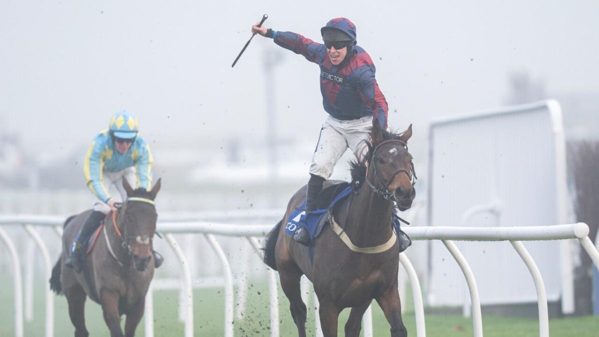 Newbury Coral Gold Cup 